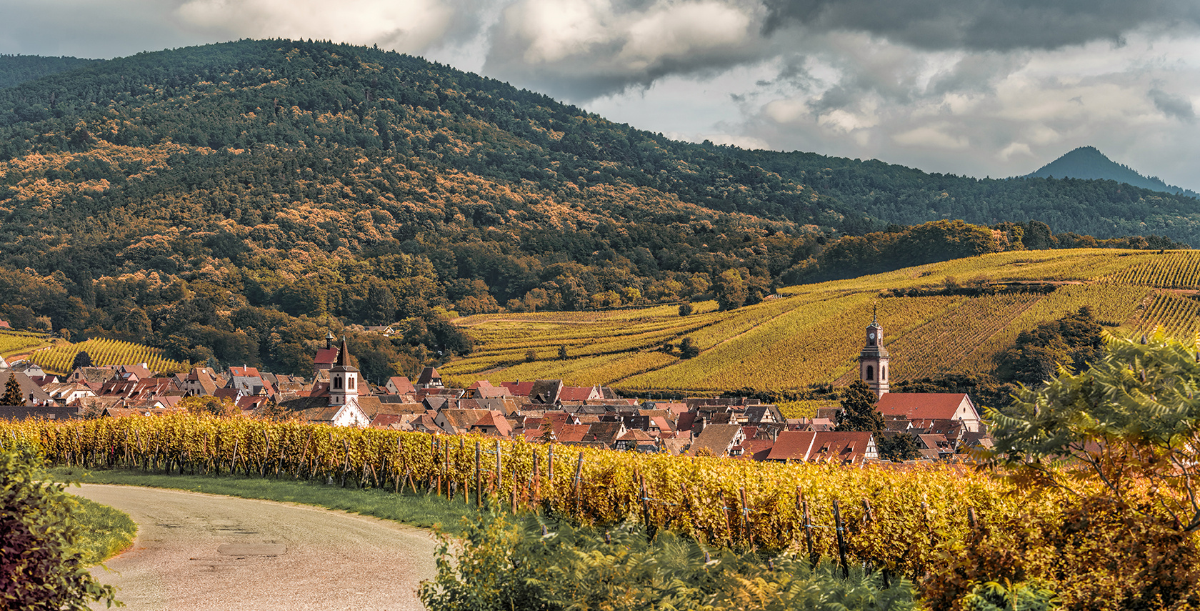 3896R Riquewihr Panorama Herbst