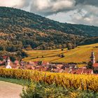 3896R Riquewihr Panorama Herbst