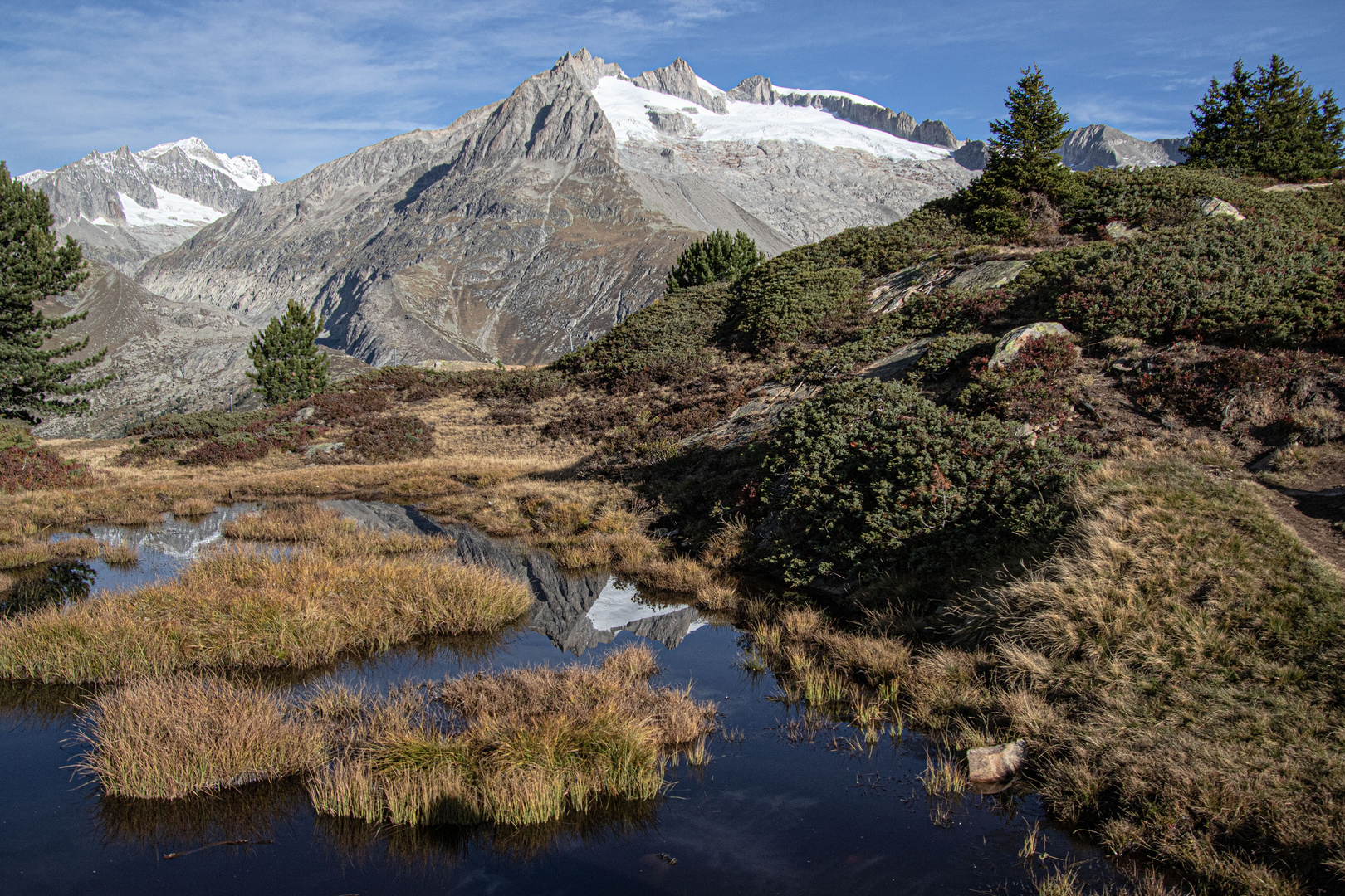 _38A5387  Spiegelung im Tümpel mit Berg