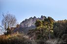 Montserrat de elena codina