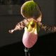 Frauenschuh (Paphiopedilum )