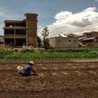 395 - Paddy Field in a Small Village In Vicinity Of Dali