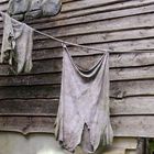 39/52 Ob es sich gelohnt hat??