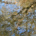 39/52 Septemberende surreal