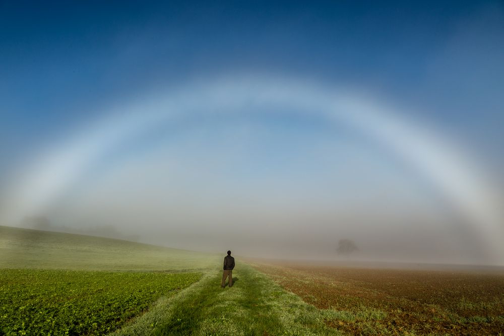 Bogen von AndiPhotographie