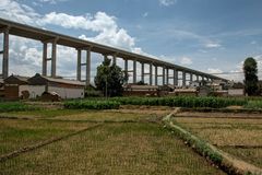 396 - Paddy Field in a Small Village In Vicinity Of Dali