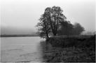 Melancholischer Ausblick von Anastigmat