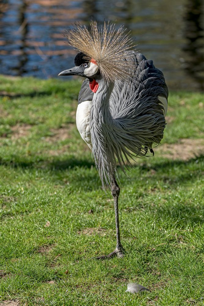 39_Zoo Hannover