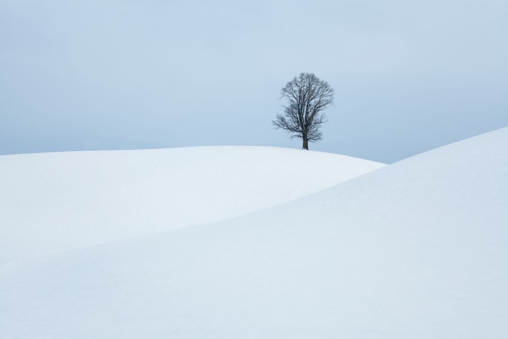 Solitude von Annette Dahl