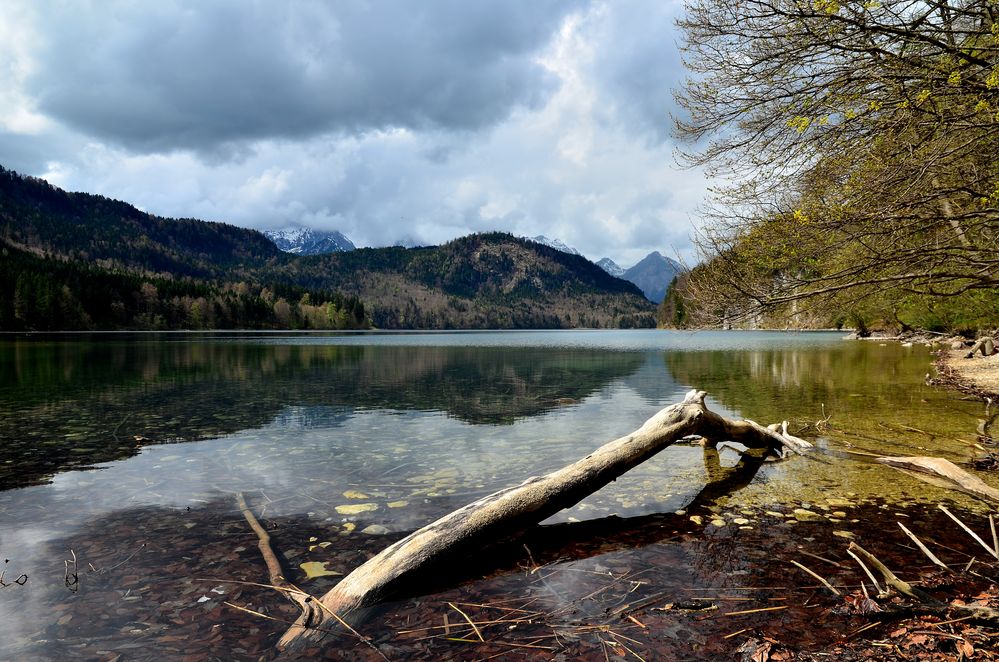 "Alp-Traum" am Alpsee von Pponte