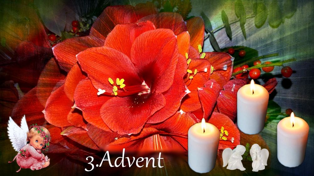 3.Advent 