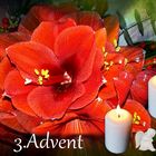 3.Advent 