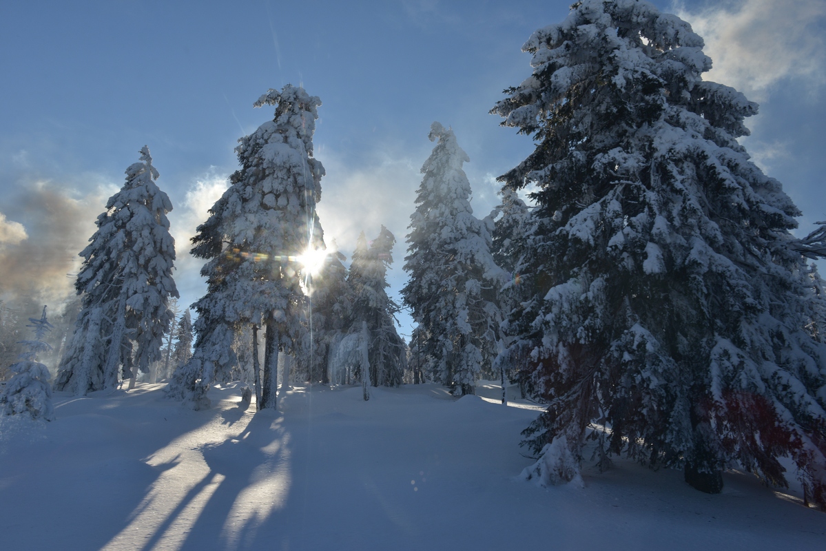 3.Auf zum Brocken