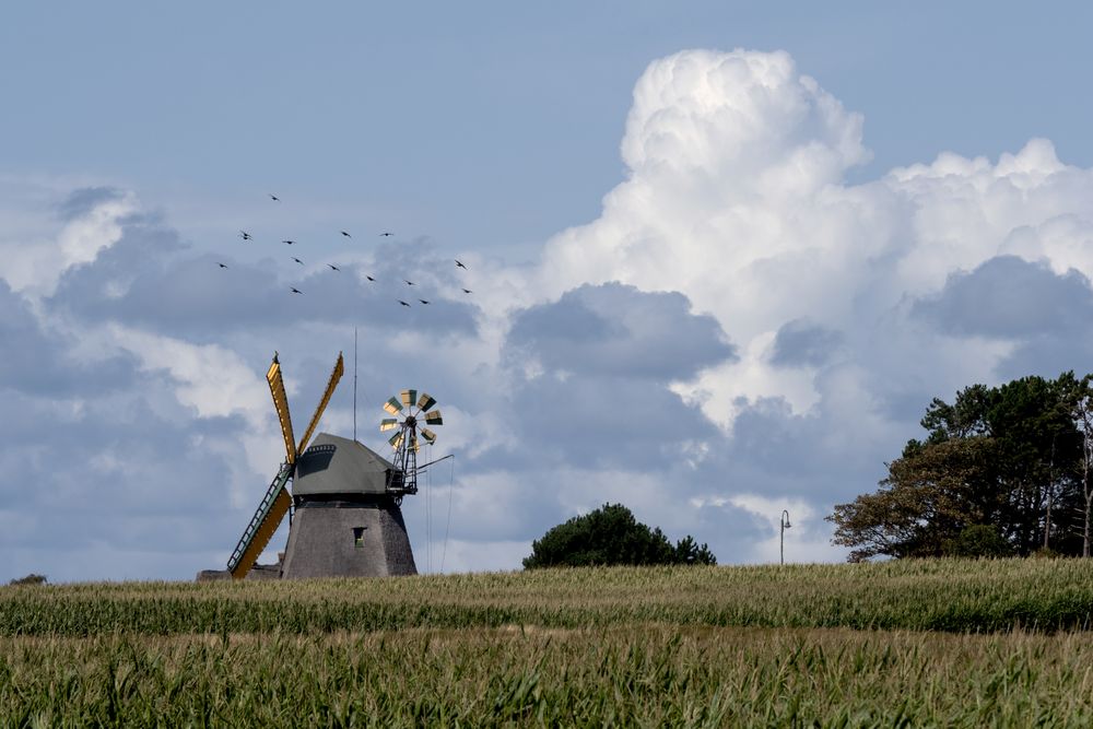 Unter'm Wind von Tom Knobi