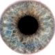 Auge 5