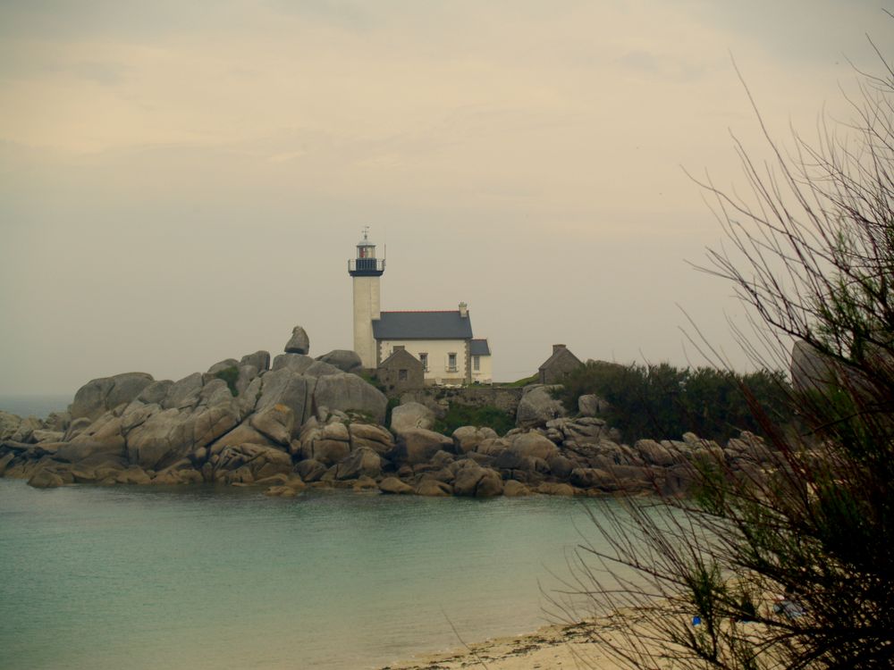 La pureté de la mer Bretonne de NADH29 