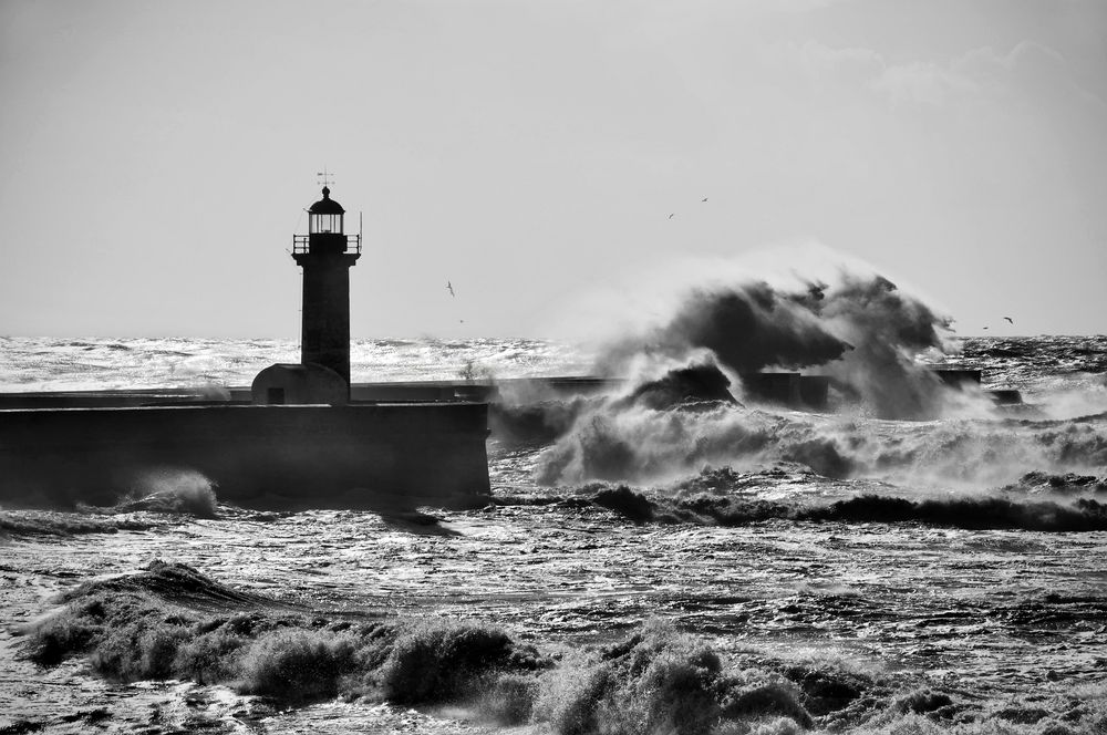 Temporal de Rosa M. 