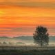 Sonnenaufgang im Feld