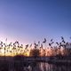 Sonnenaufgang am Teich