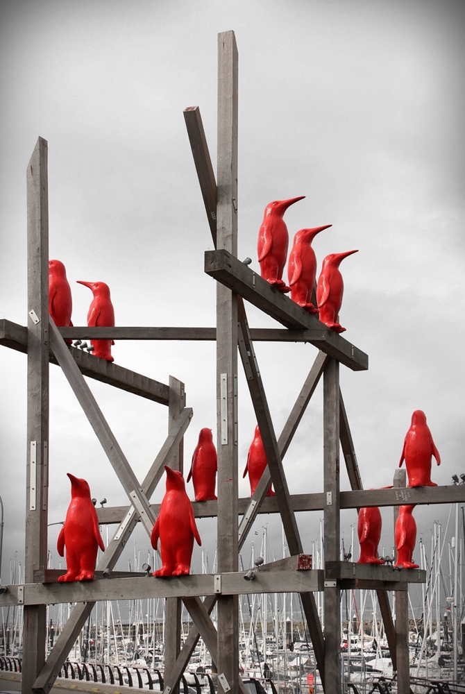 Rote Pinguine im Hafen von Breskens von Werner Krein 