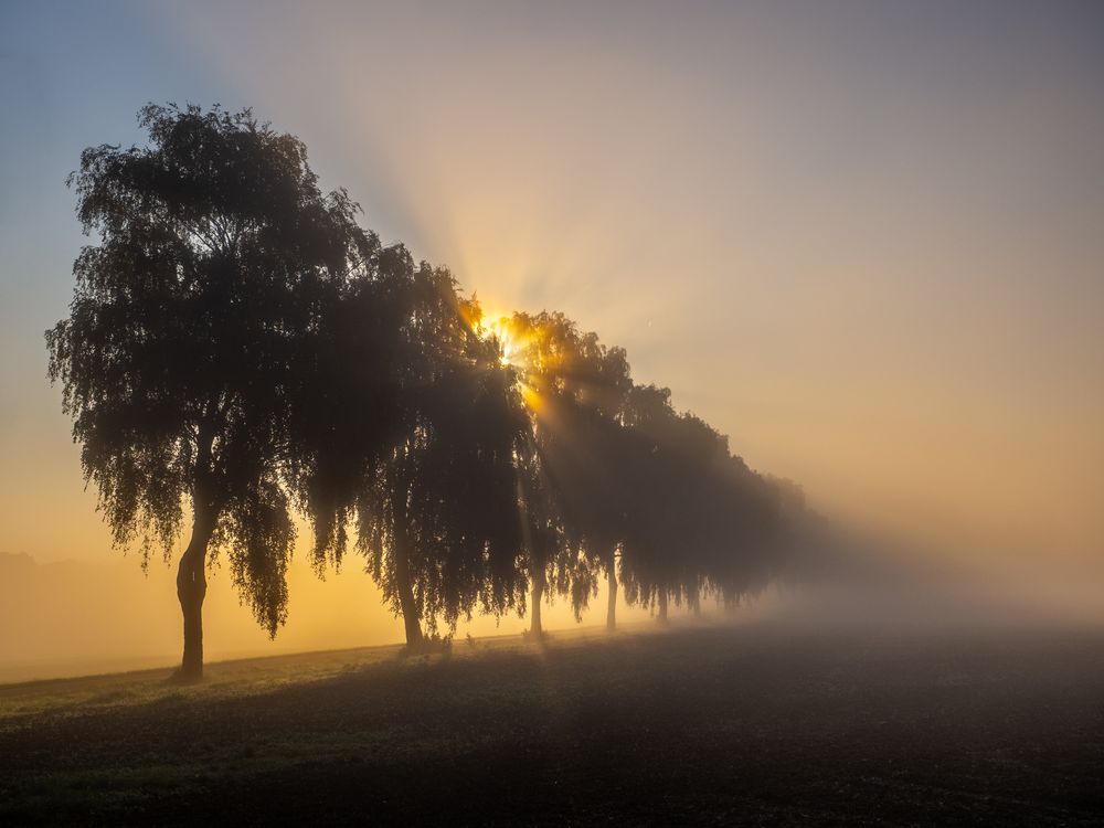 Weserbergland im Nebel von hubertbrenner