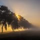 Weserbergland im Nebel