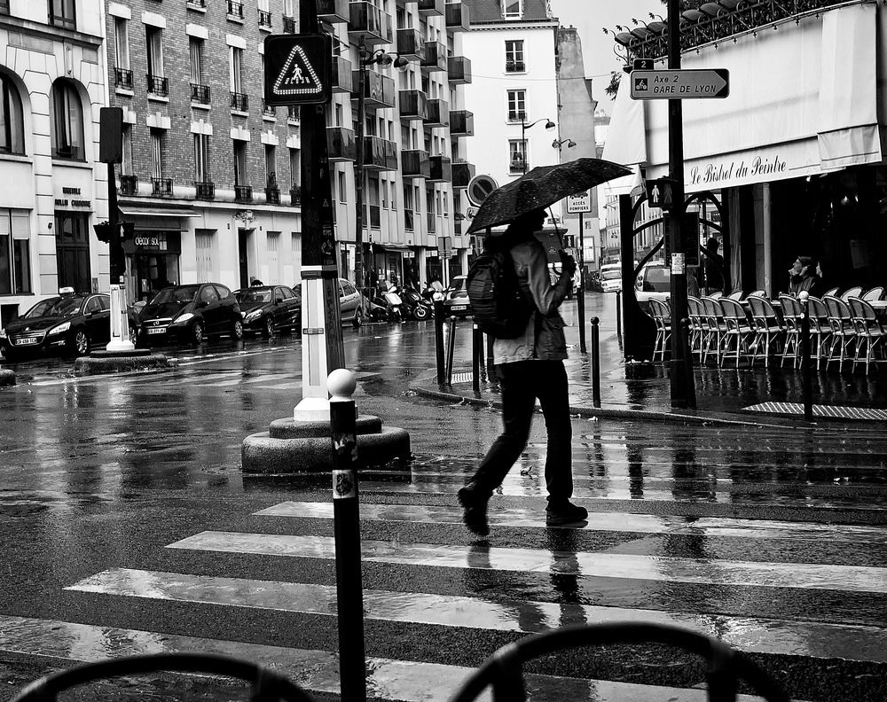 La pluie fait des claquettes ... de F.JEROME 