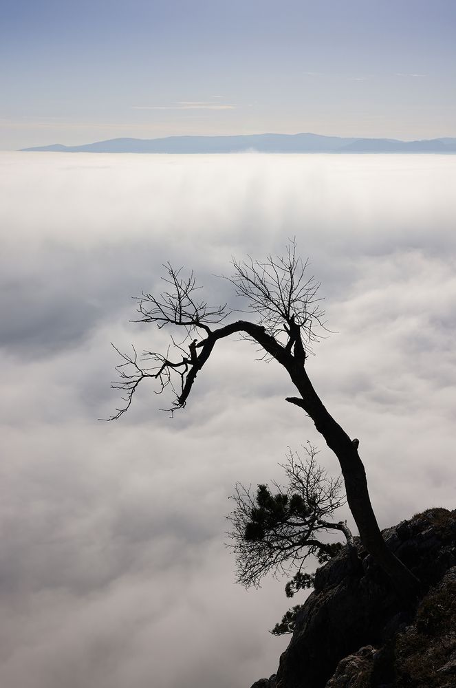 Nebel im Tal by Peter Wienerroither