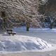 Winterimpression am Weiher im Volksgarten