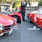 3D 190SL at  Gaien2