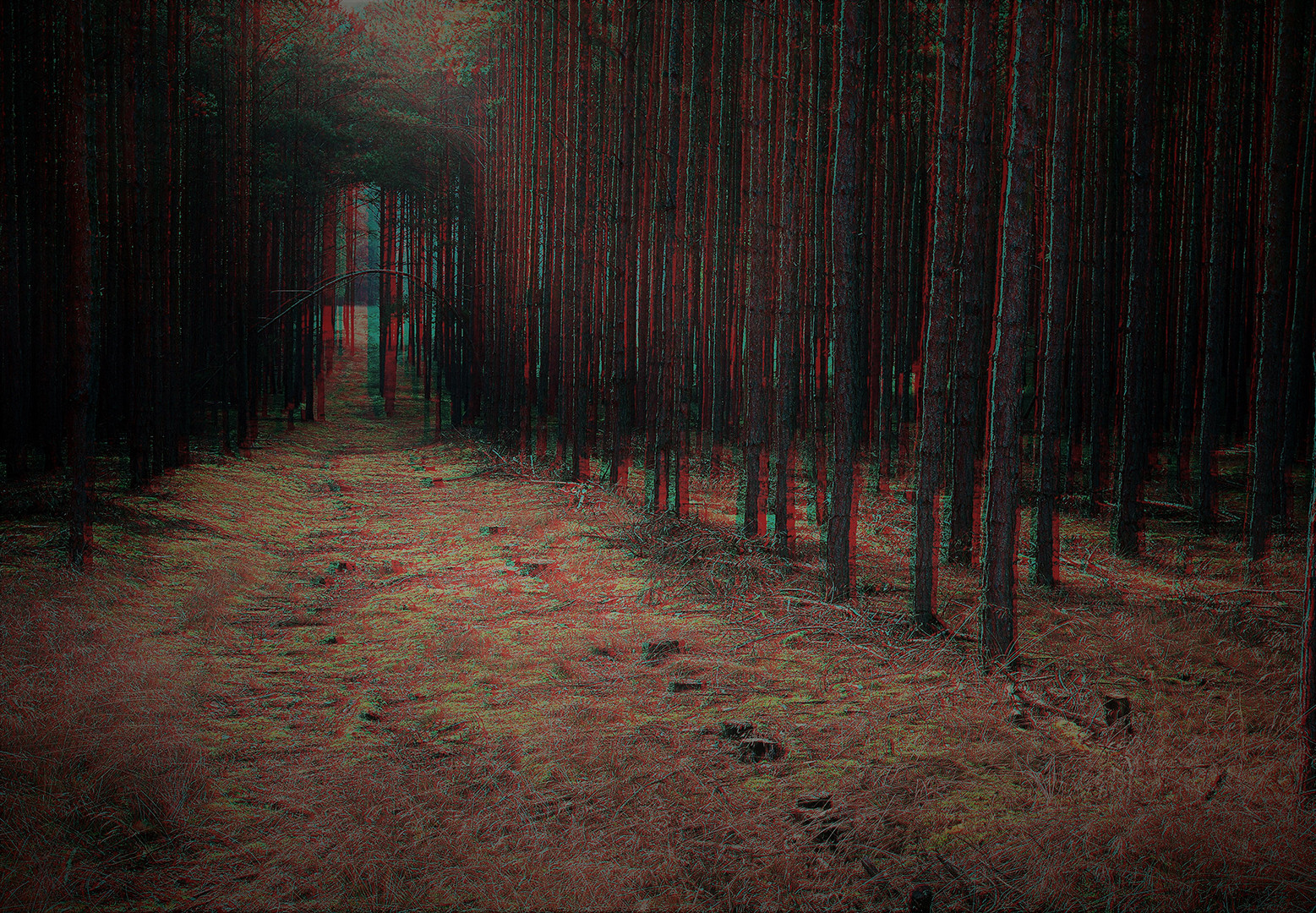 3D Anaglype (Rot/cyan)