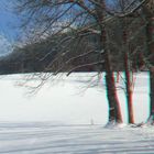 3D (anaglyph): Tegernseer "Räumlichkeit" mit der Fujifilm W3