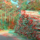 3d Anaglyphen