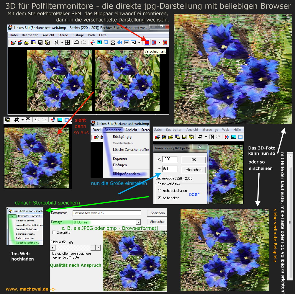 3D direkt für Polfitermonitore  = FC-Sektion "Pol- und KMQ"