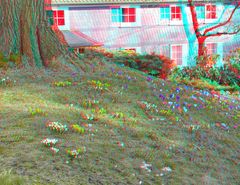 3D Frühling am Baum (1)