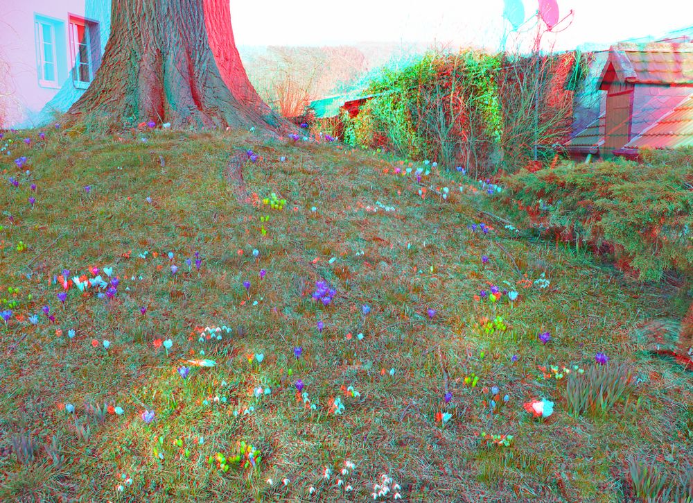 3D Frühling am Baum (2)