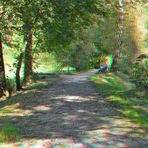 3D Herbstsonne (2)