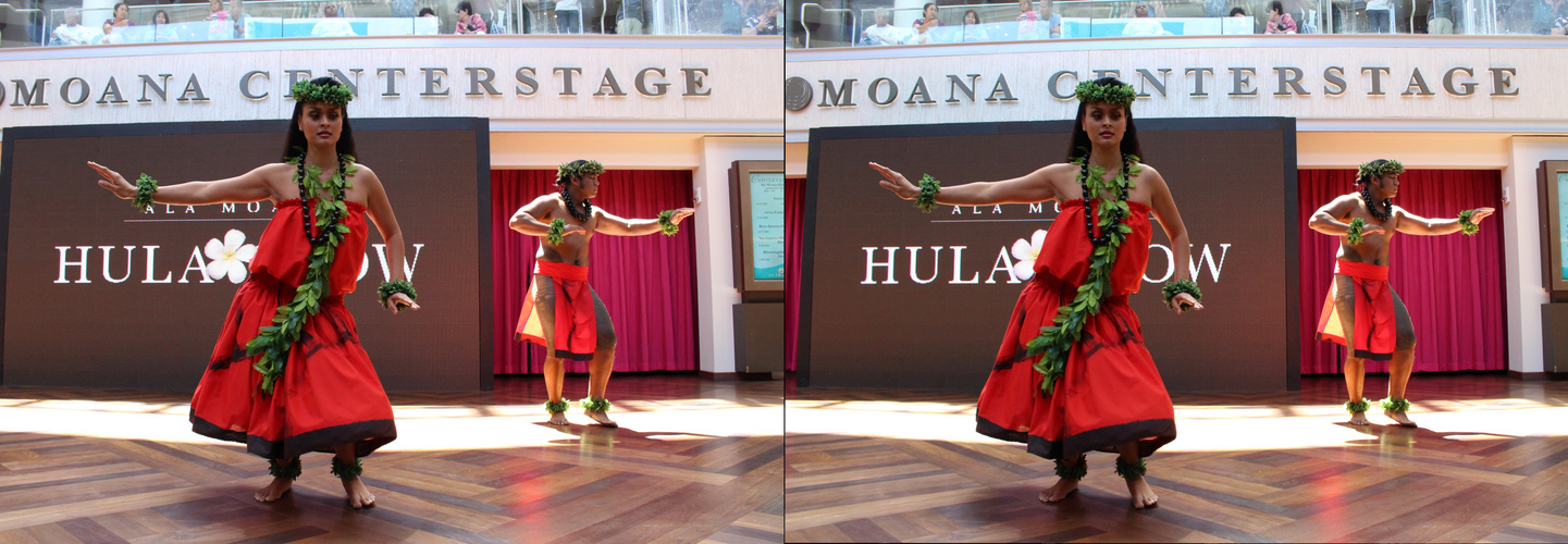 3D Hula Ala Moana9