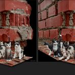 3D-Katzen