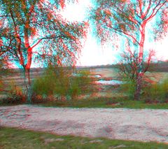 3D Maasduinen (1)