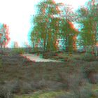 3D Maasduinen (2)