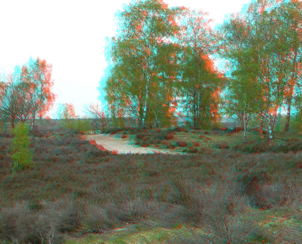 3D Maasduinen (2)