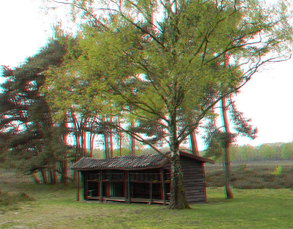 3D Maasduinen (3)