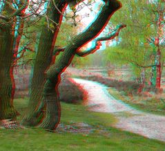 3D Maasduinen (4)