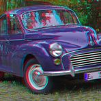 3D Morris