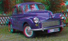 3D Morris