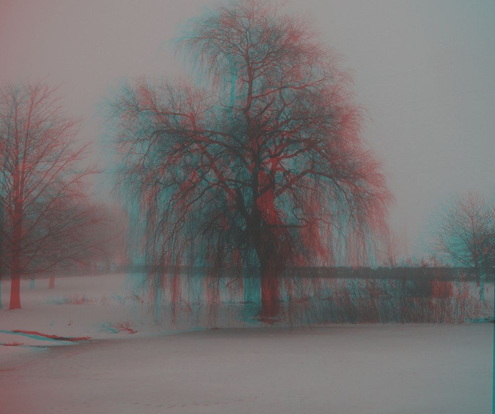 3D  Nebel am Weiher 1.1.11