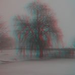 3D  Nebel am Weiher 1.1.11