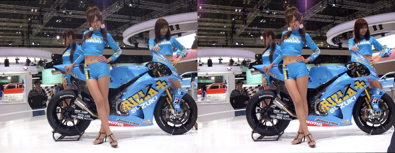 3D Rizla Suzuki GSV-R