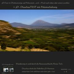 3D-Schau mit Polumschaltung
